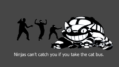 Ninjas ninjas cant catch