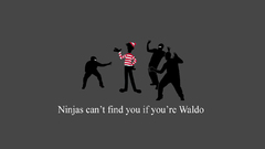 Ninjas ninjas cant catch