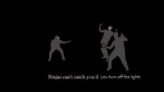 Ninjas ninjas cant catch