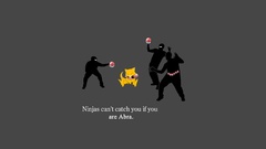Ninjas ninjas cant catch