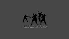 Ninjas ninjas cant catch