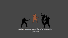 Ninjas ninjas cant catch