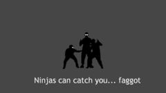 Ninjas ninjas cant catch