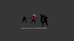 Ninjas ninjas cant catch