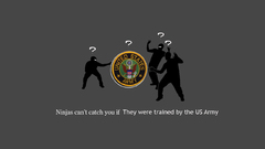 Ninjas ninjas cant catch