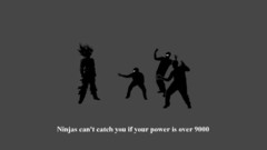 Ninjas ninjas cant catch