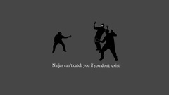 Ninjas ninjas cant catch