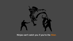 Ninjas ninjas cant catch