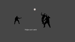 Ninjas ninjas cant catch