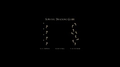 Ninjas zombies pirates