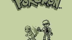 Nintendo Pokemon video games