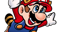 Nintendo video games Mario