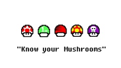 Nintendo video games Mario