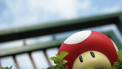 Nintendo video games Mario