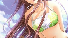 Nishimata Aoi (Artist) Lovely Idol