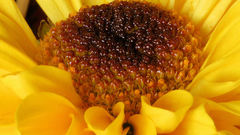 No Photoshop please Art