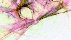 No2 took one fraxdesk