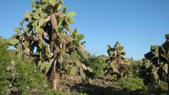 Not desert but there