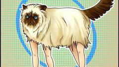 Not fast nigger frostedbutts