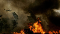 Not The best quality