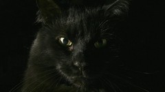 Notebook backgrounds