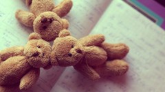 Notebook tiny teddy bears