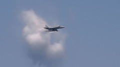 Nottroll just bad jokes