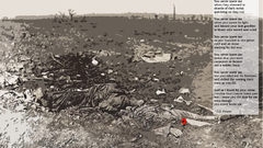 November remembrance day tomorrow