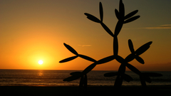 Now ) With This seconds fixed mspaint exe