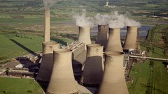 Nuclear power Plants flower