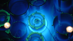 Nuclear reactor cherenkov radiation