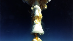 Nuke mushroom cloud military