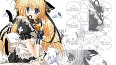 Nurses animal ears Anime