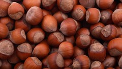 Nuts Acorns