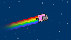 Nyan cat animal