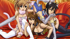 Nyan koi Mizuno Kaede