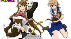 Nyan koi Mizuno Kaede