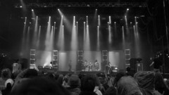 Oanon is resuscitating high