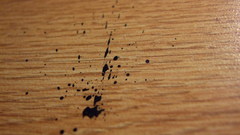 Oc original content should