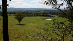 Oc pikchizz ve Taken