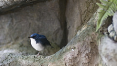 Ocan we havethread for