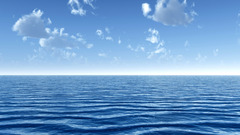 Ocean