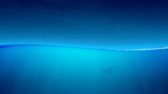 Ocean alt nologo observations