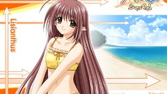 Ocean Anime Beaches anime girls brown eyes brunettes ecchi 