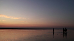 Ocean beach silhouette sunsets