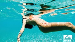 Ocean bikini Miss Reef