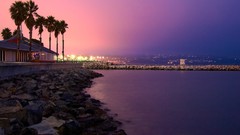 Ocean City Lights palm trees rocks houses