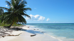 Ocean clouds Landscapes palm