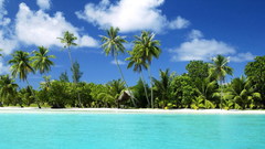 Ocean clouds nature palm