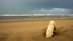 Ocean clouds sand waves